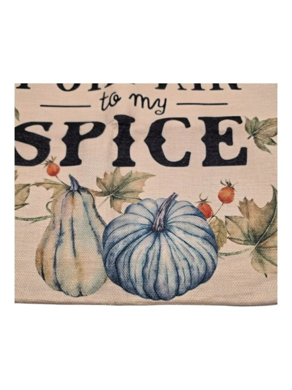You Are Pumpkin To My Spice Autumn Throw Pillow Cover 17x18 Inches Decorative